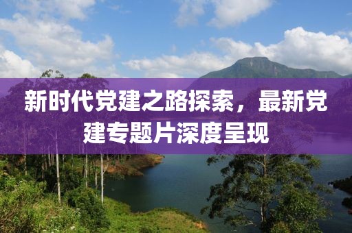 新时代党建之路探索，最新党建专题片深度呈现