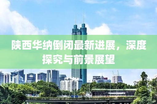 陕西华纳倒闭最新进展，深度探究与前景展望