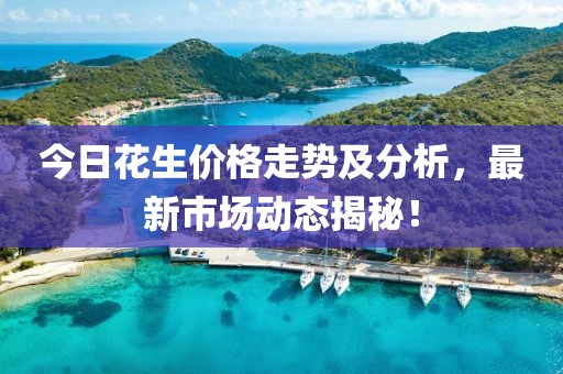 今日花生价格走势及分析，最新市场动态揭秘！
