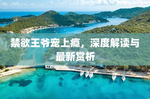 禁欲王爷宠上瘾，深度解读与最新赏析