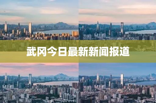 武冈今日最新新闻报道