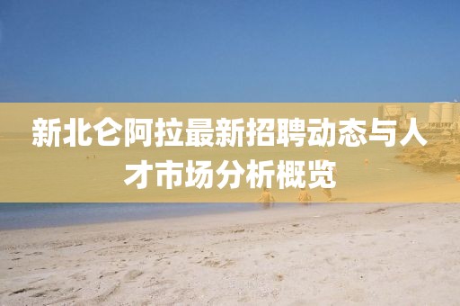 新北仑阿拉最新招聘动态与人才市场分析概览