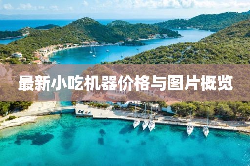 最新小吃机器价格与图片概览