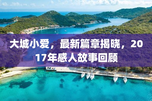 大城小爱，最新篇章揭晓，2017年感人故事回顾