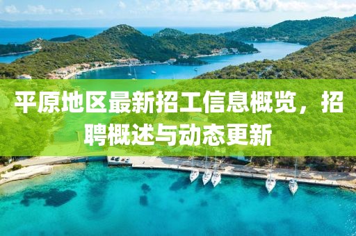 平原地区最新招工信息概览，招聘概述与动态更新