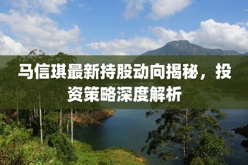 马信琪最新持股动向揭秘，投资策略深度解析