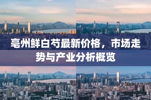 亳州鲜白芍最新价格，市场走势与产业分析概览