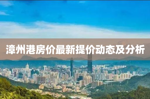 漳州港房价最新提价动态及分析