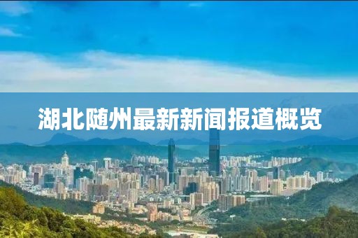 湖北随州最新新闻报道概览