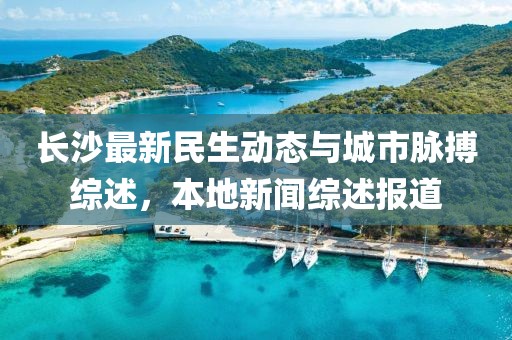 长沙最新民生动态与城市脉搏综述，本地新闻综述报道