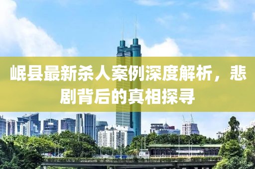 岷县最新杀人案例深度解析，悲剧背后的真相探寻