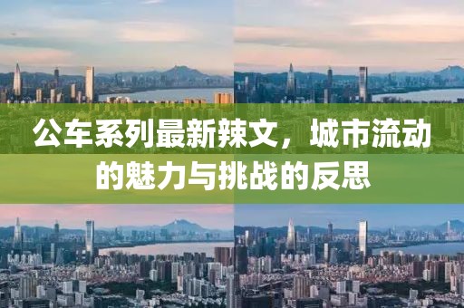公车系列最新辣文，城市流动的魅力与挑战的反思