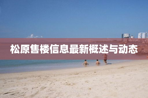 松原售楼信息最新概述与动态