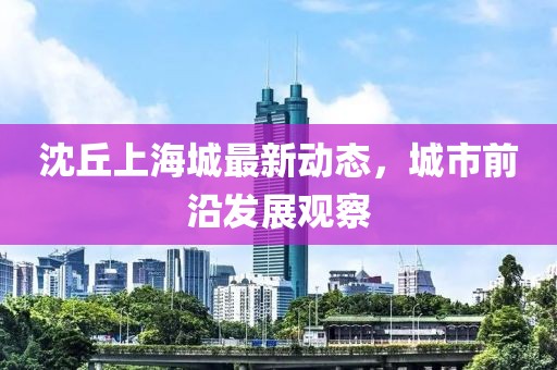沈丘上海城最新动态，城市前沿发展观察