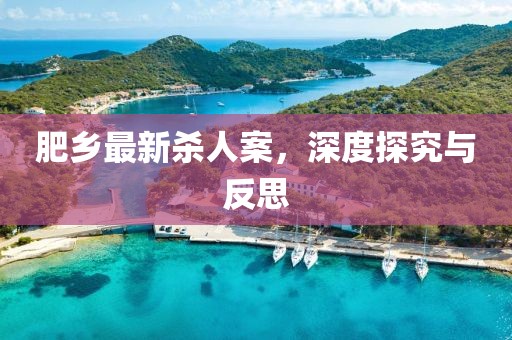 肥乡最新杀人案，深度探究与反思