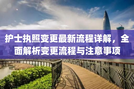 护士执照变更最新流程详解，全面解析变更流程与注意事项