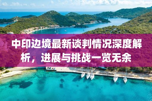 中印边境最新谈判情况深度解析，进展与挑战一览无余