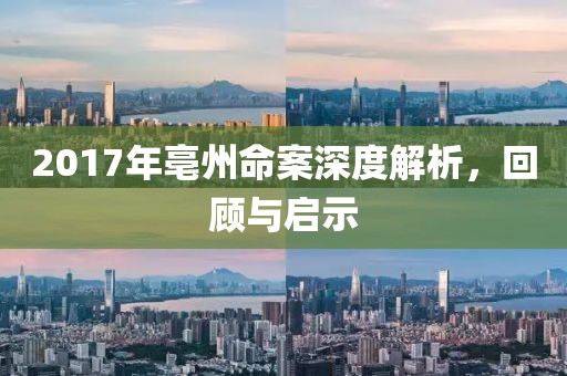 2017年亳州命案深度解析，回顾与启示