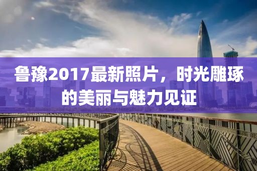 鲁豫2017最新照片，时光雕琢的美丽与魅力见证