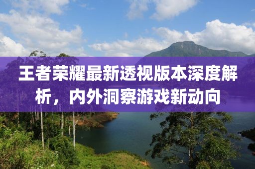 王者荣耀最新透视版本深度解析，内外洞察游戏新动向