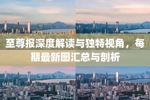 至尊报深度解读与独特视角，每期最新图汇总与剖析