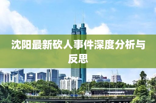 沈阳最新砍人事件深度分析与反思