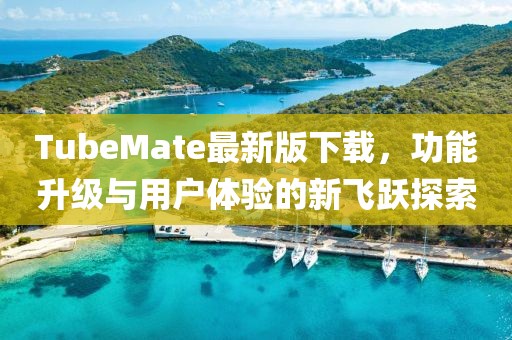 TubeMate最新版下载，功能升级与用户体验的新飞跃探索