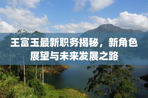 王富玉最新职务揭秘，新角色展望与未来发展之路