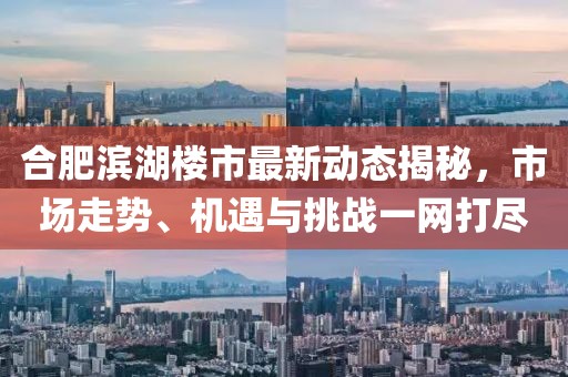 合肥滨湖楼市最新动态揭秘，市场走势、机遇与挑战一网打尽