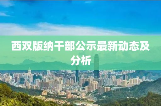 西双版纳干部公示最新动态及分析
