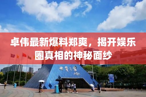 卓伟最新爆料郑爽，揭开娱乐圈真相的神秘面纱