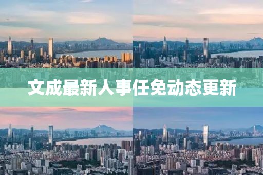 文成最新人事任免动态更新