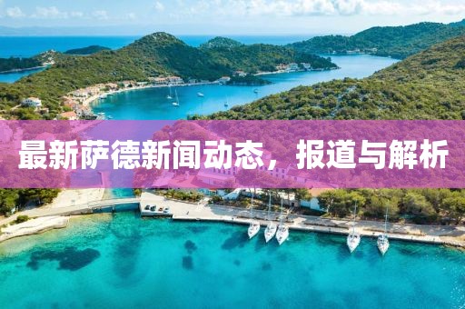 最新萨德新闻动态，报道与解析