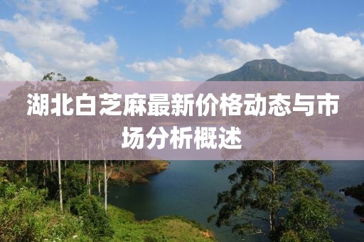 湖北白芝麻最新价格动态与市场分析概述