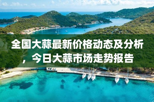全国大蒜最新价格动态及分析，今日大蒜市场走势报告