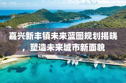 嘉兴新丰镇未来蓝图规划揭晓，塑造未来城市新面貌
