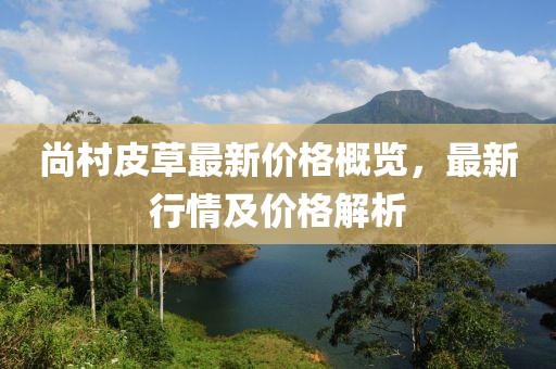 尚村皮草最新价格概览，最新行情及价格解析
