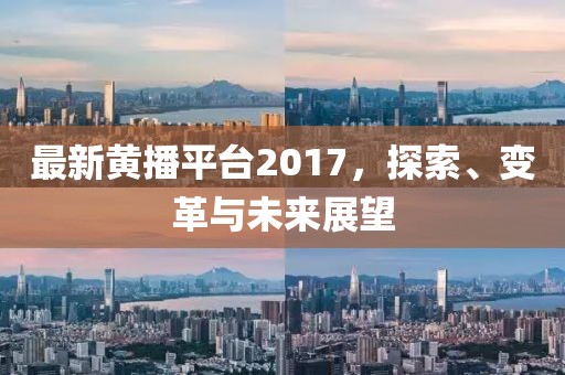 最新黄播平台2017，探索、变革与未来展望