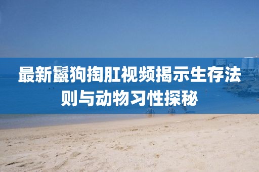 最新鬣狗掏肛视频揭示生存法则与动物习性探秘