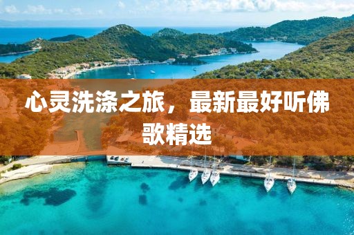心灵洗涤之旅，最新最好听佛歌精选