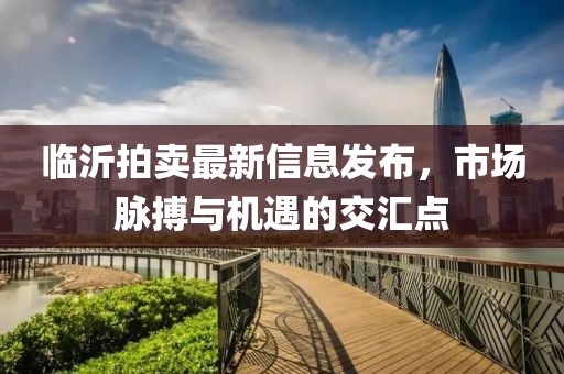 临沂拍卖最新信息发布，市场脉搏与机遇的交汇点