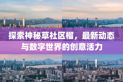 探索神秘草社区榴，最新动态与数字世界的创意活力