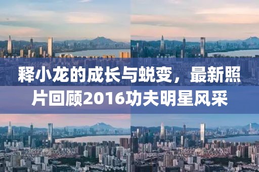 释小龙的成长与蜕变，最新照片回顾2016功夫明星风采