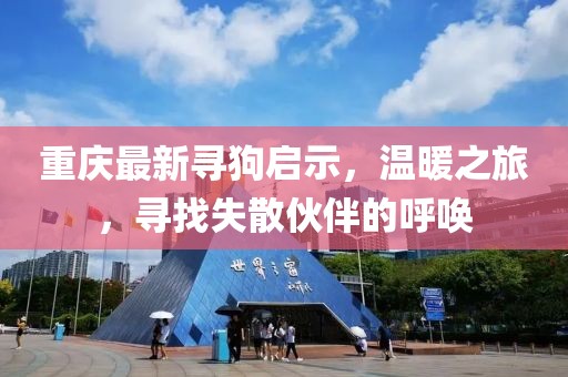 重庆最新寻狗启示，温暖之旅，寻找失散伙伴的呼唤