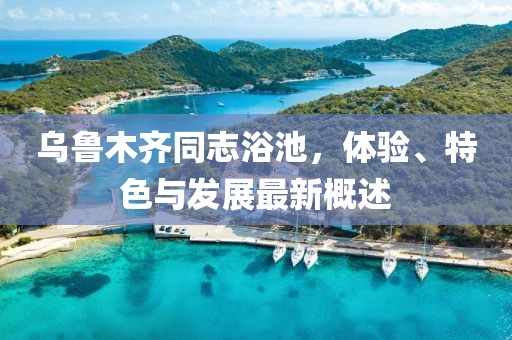 乌鲁木齐同志浴池，体验、特色与发展最新概述