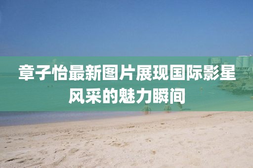 章子怡最新图片展现国际影星风采的魅力瞬间