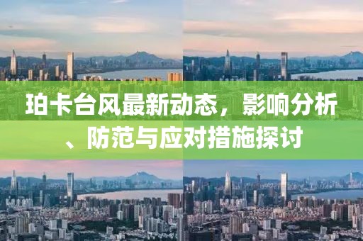 珀卡台风最新动态，影响分析、防范与应对措施探讨
