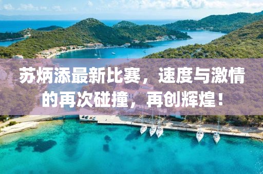 苏炳添最新比赛，速度与激情的再次碰撞，再创辉煌！