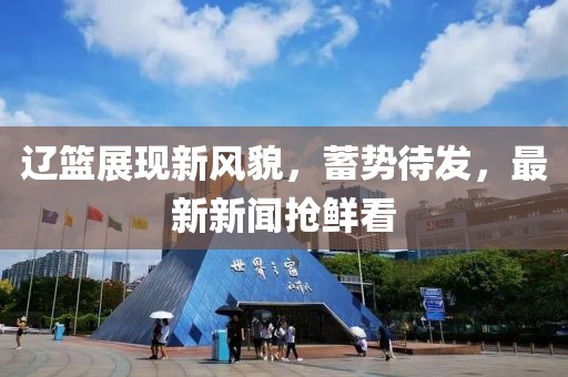 辽篮展现新风貌，蓄势待发，最新新闻抢鲜看