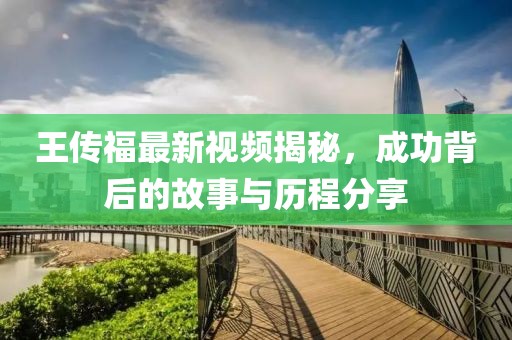 王传福最新视频揭秘，成功背后的故事与历程分享